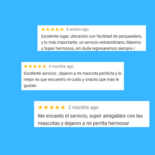 reviews peluqueria canina